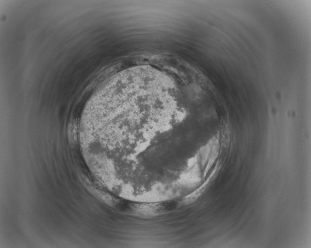X0000084000191200703161658