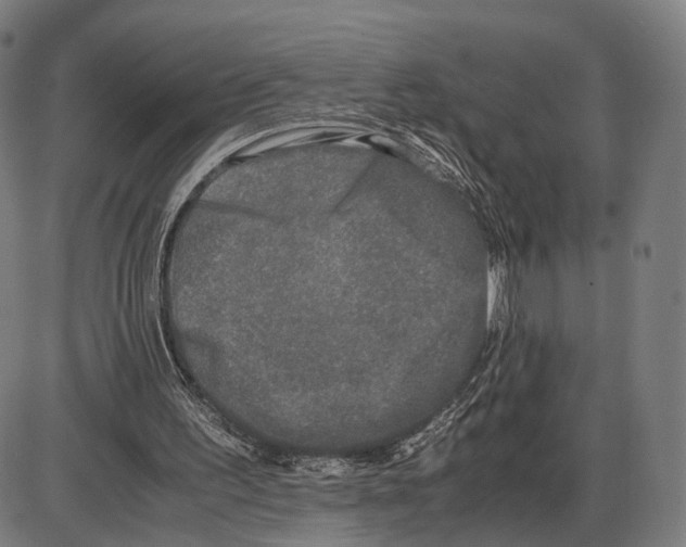 X0000084000195200703161657