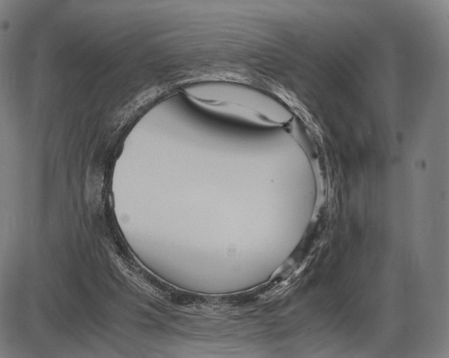 X0000084000201200703161657