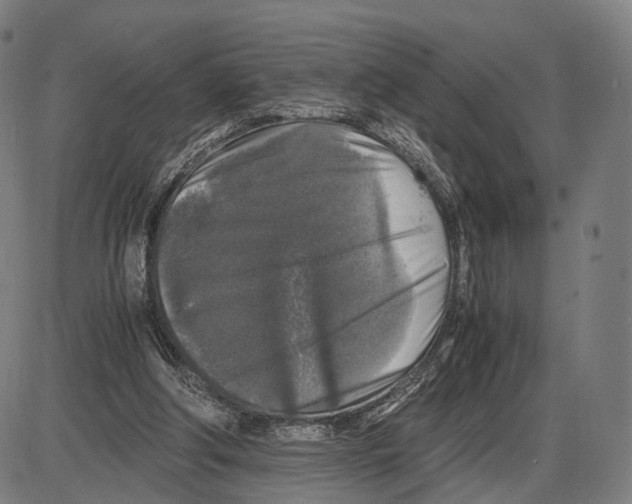 X0000084000202200703161657