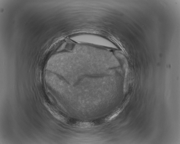 X0000084000205200703161657