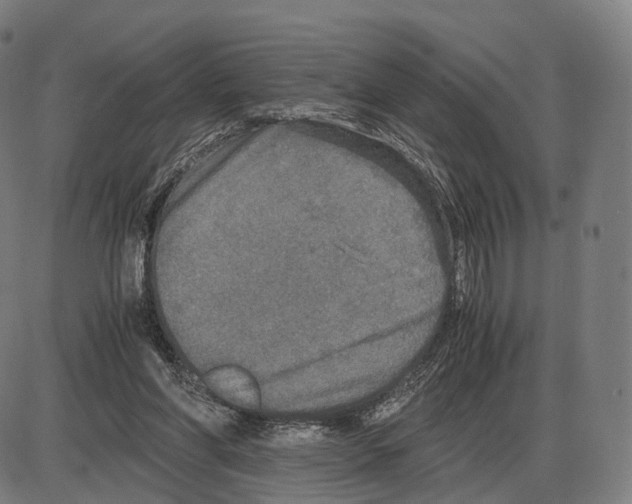 X0000084000206200703161657