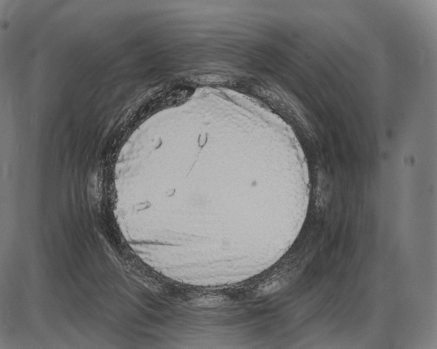 X0000084000210200703161657