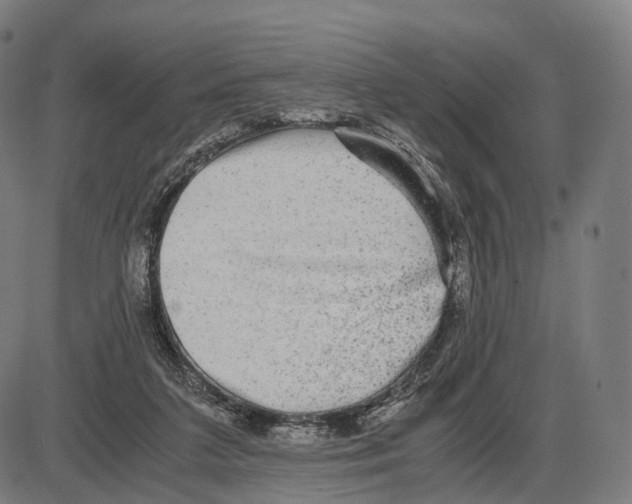 X0000084000211200703161657