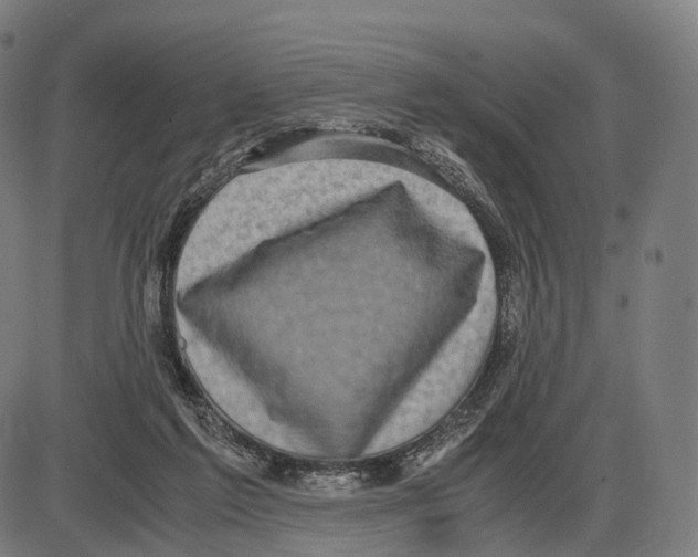 X0000084000213200703161657