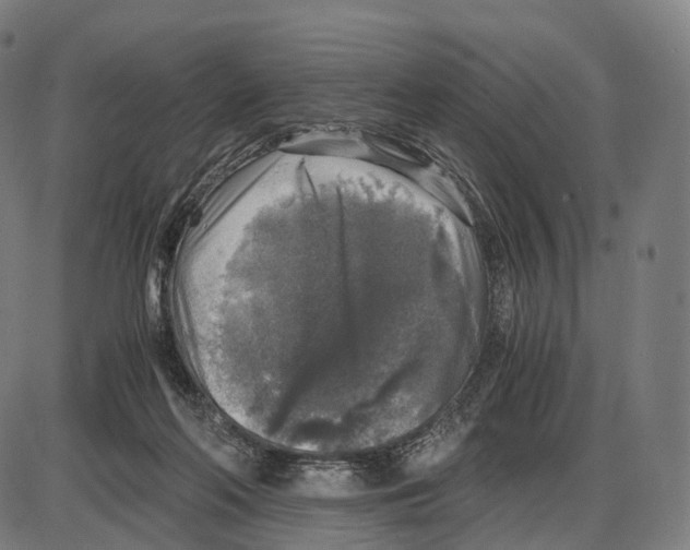 X0000084000214200703161656