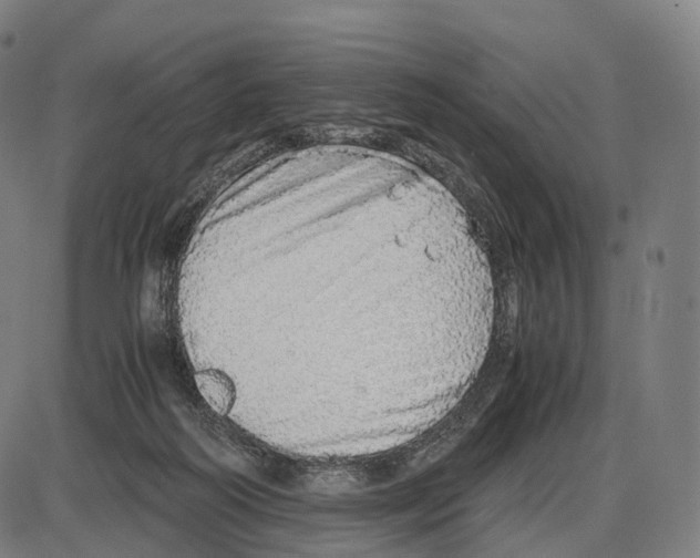 X0000084000218200703161656