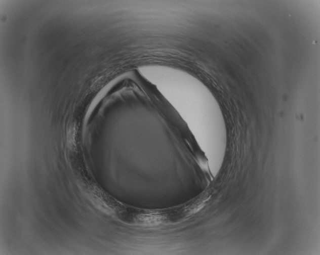 X0000084000219200703161656
