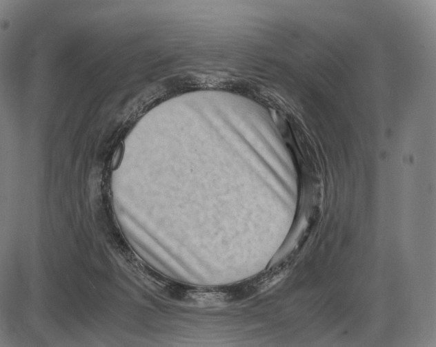 X0000084000221200703161656