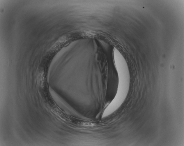 X0000084000223200703161656