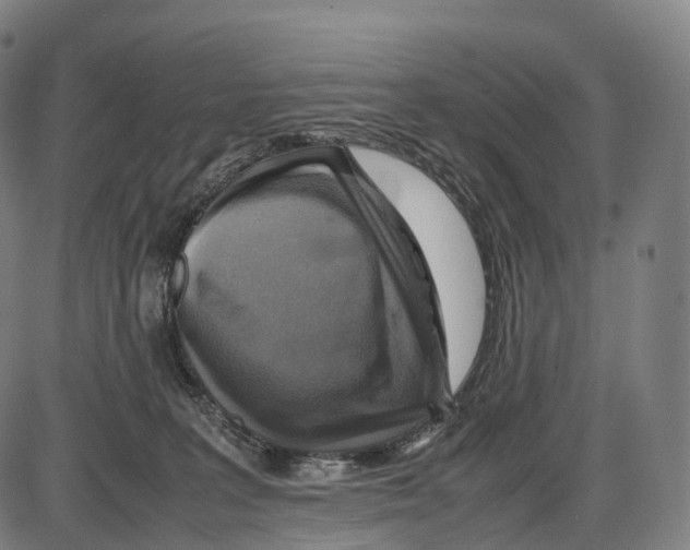 X0000084000227200703161656