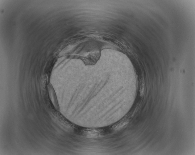 X0000084000229200703161656