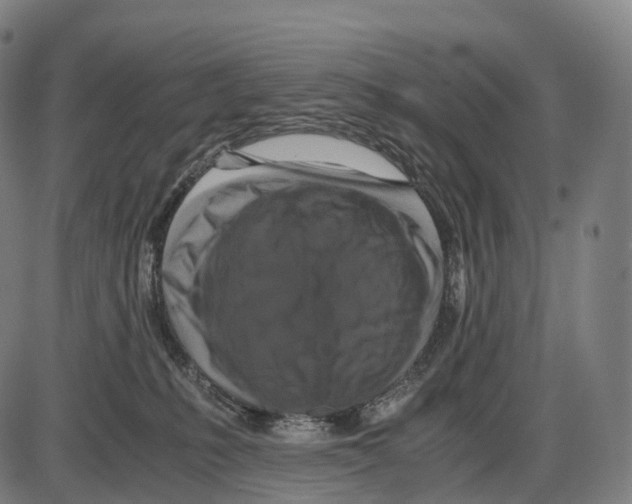 X0000084000231200703161656