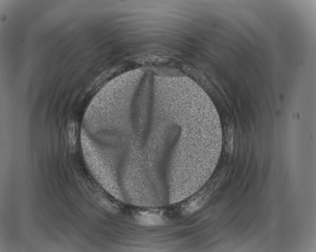 X0000084000232200703161656