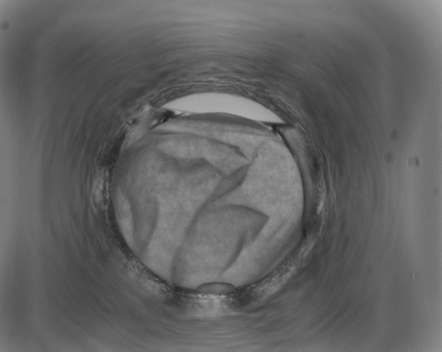 X0000084000233200703161656