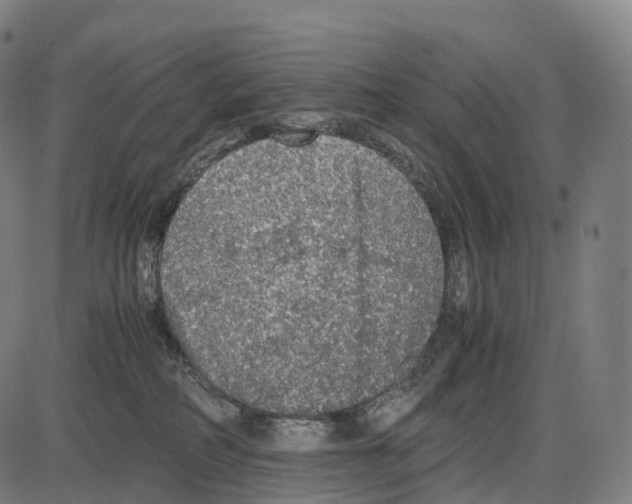 X0000084000234200703161656