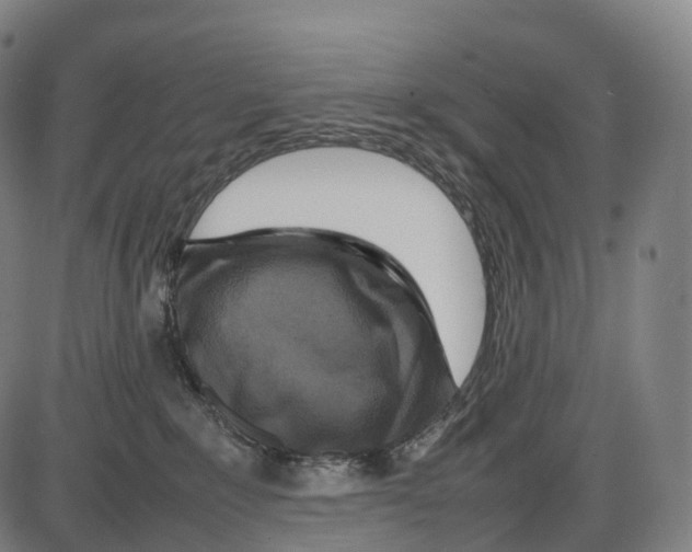 X0000084000235200703161656
