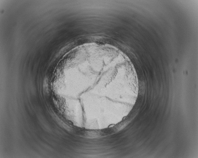X0000084000238200703161656