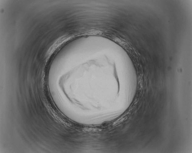 X0000084000242200703161655