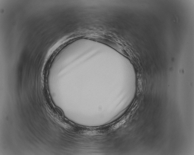 X0000084000246200703161655