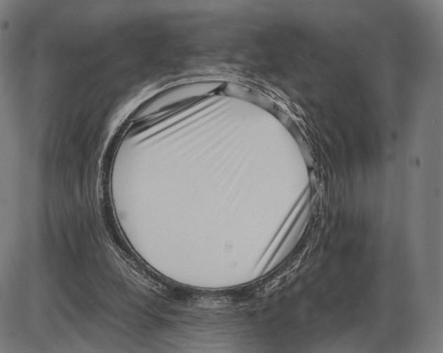 X0000084000248200703161655