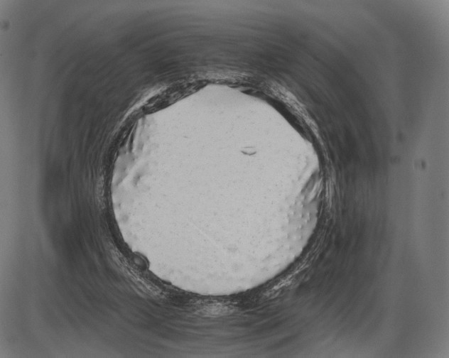 X0000084000249200703161655