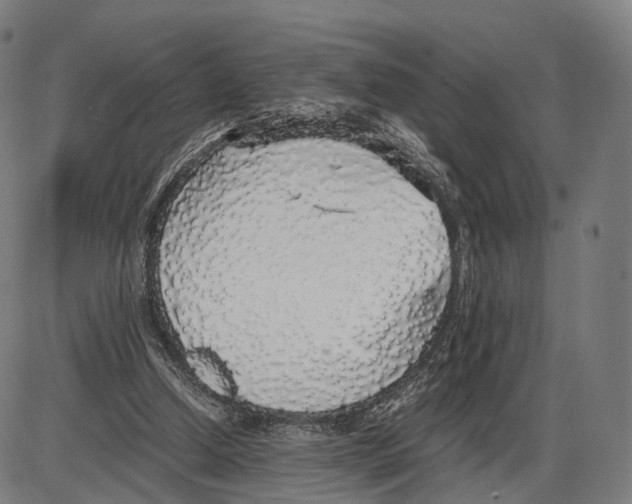 X0000084000250200703161655