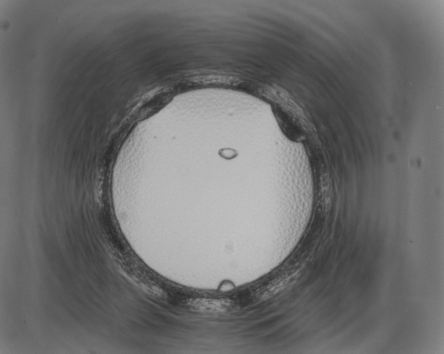 X0000084000255200703161655