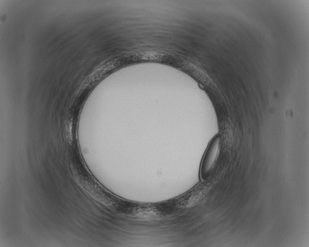 X0000084000262200703161656