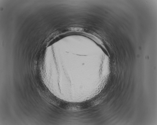 X0000084000263200703161656
