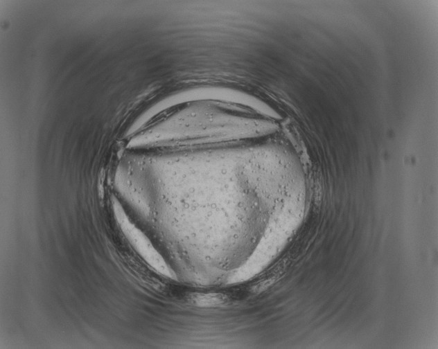 X0000084000264200703161656
