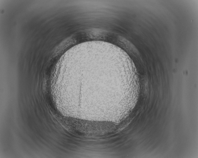 X0000084000266200703161656