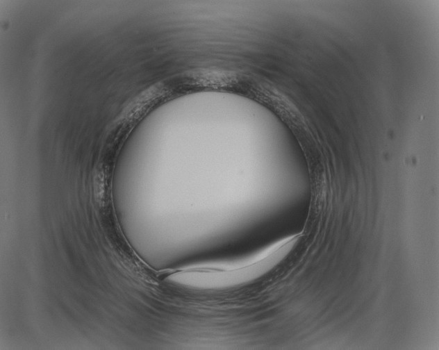 X0000084000268200703161656