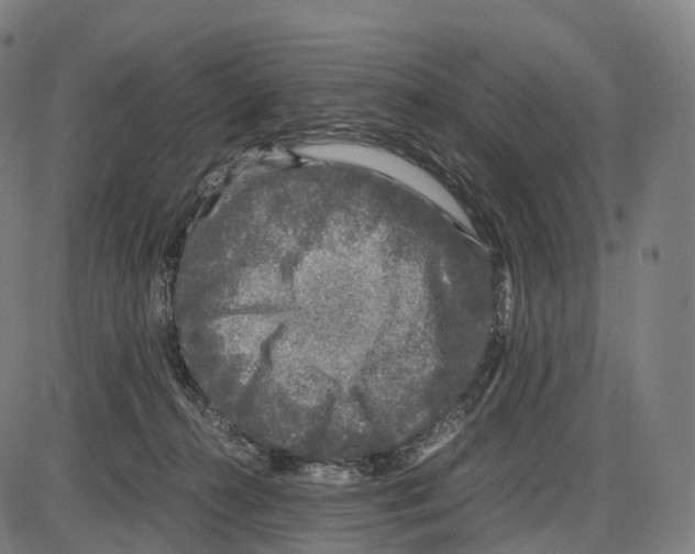 X0000084000272200703161656