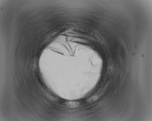 X0000084000277200703161656