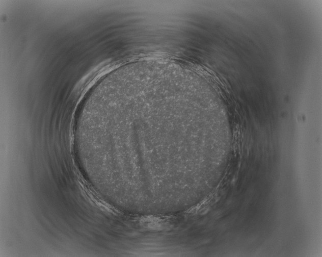 X0000084000290200703161655