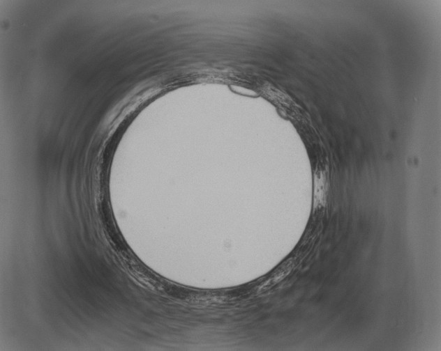 X0000084000291200703161655