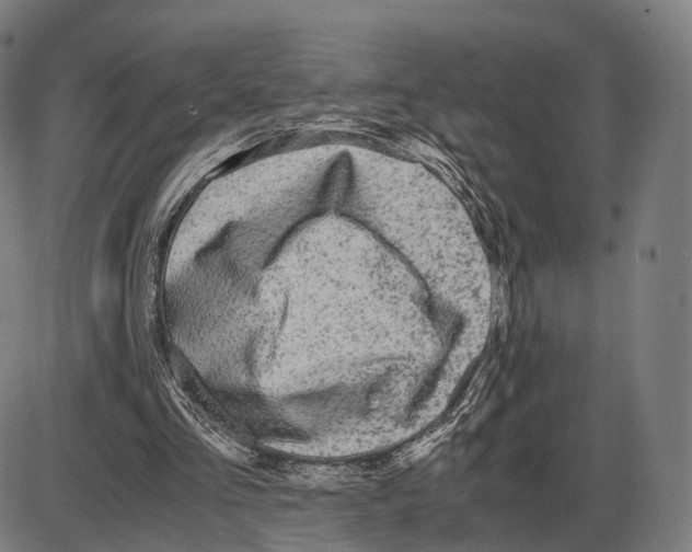 X0000084000293200703161655