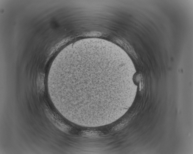 X0000084000300200703161655