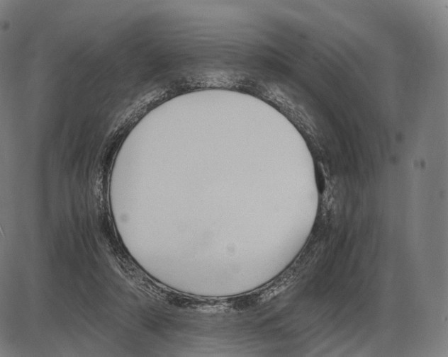 X0000084000306200703161655