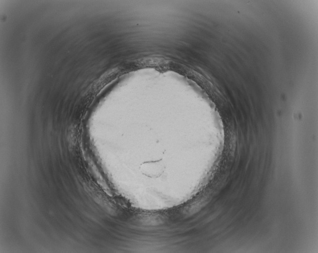 X0000084000326200703161655