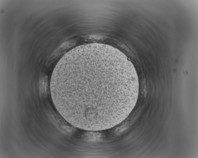 X0000084000328200703161655