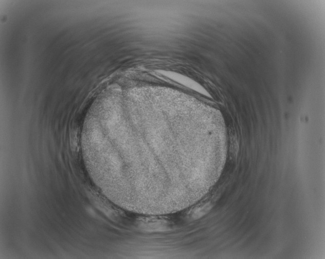 X0000084000331200703161655