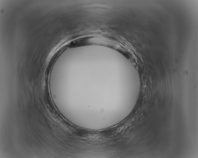 X0000084000344200703161654