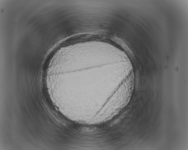 X0000084000346200703161654