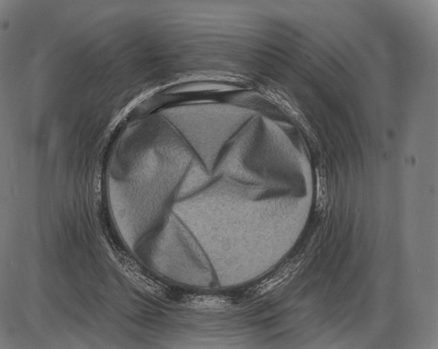 X0000084000348200703161654