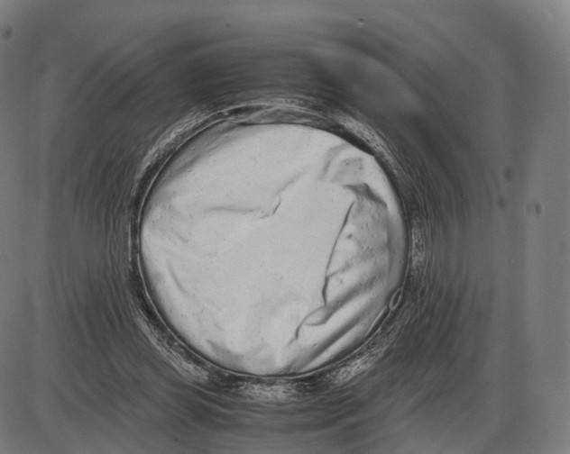 X0000084000349200703161654