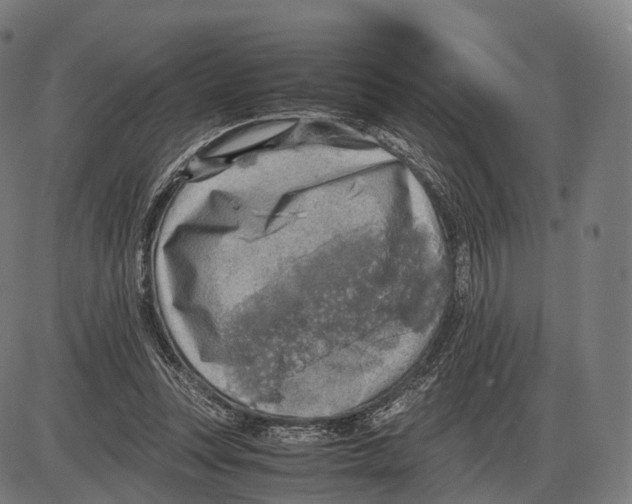 X0000084000351200703161654