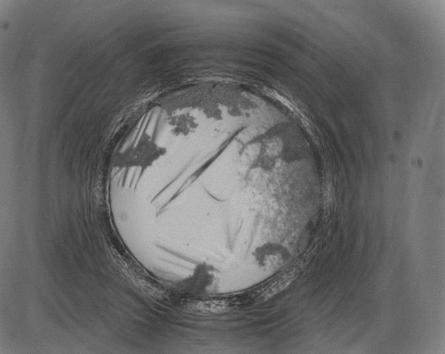 X0000084000353200703161654