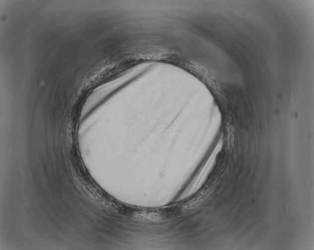 X0000084000354200703161654